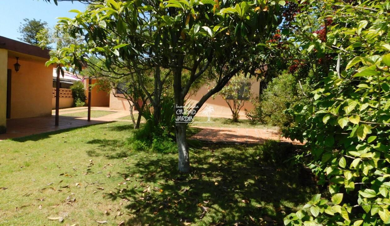 INMOBILIARIA (12)