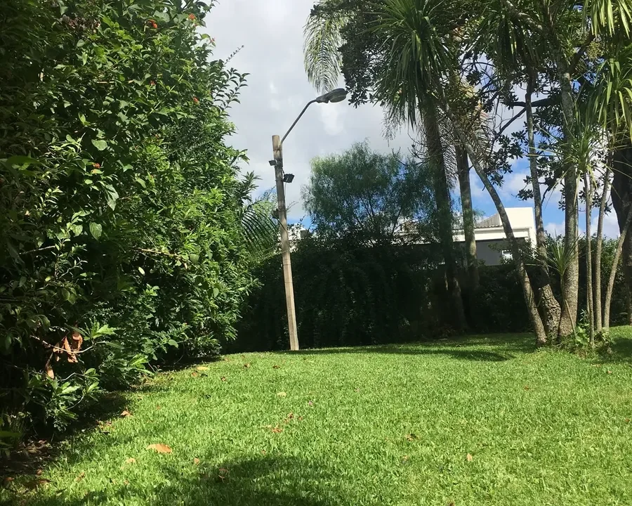 D_816504-MLU111146518498_052026-F