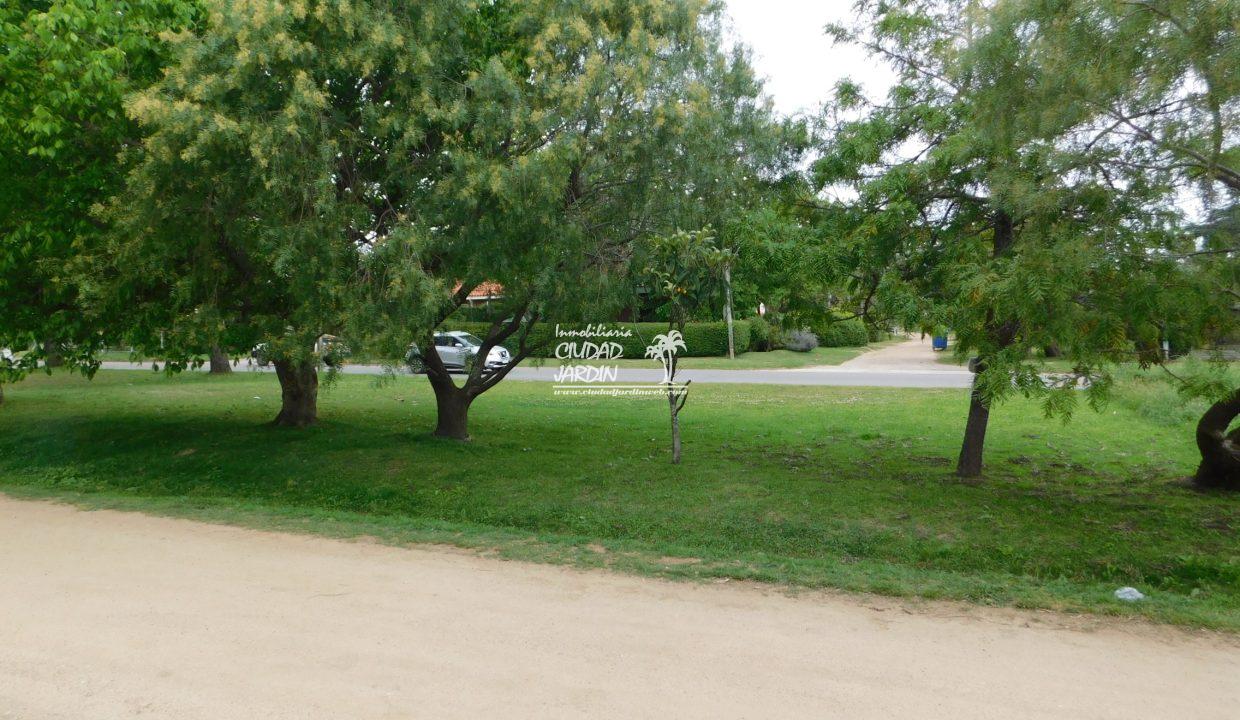 INMOBILIARIA CIUDAD JARDIN (50)