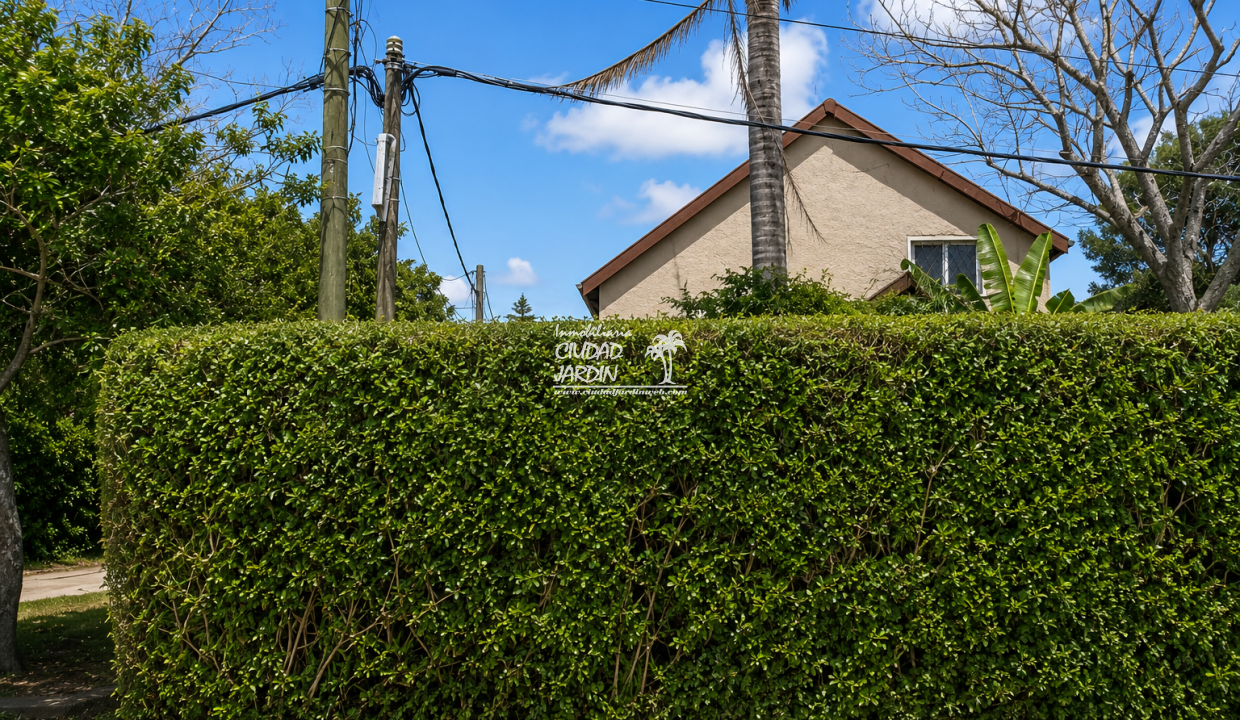 Inmobiliaria Ciudad Jardin (1)